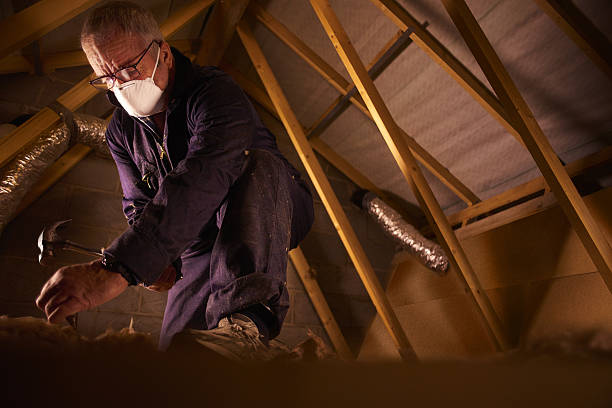 Types of Insulation We Offer in Lincoln Village, CA